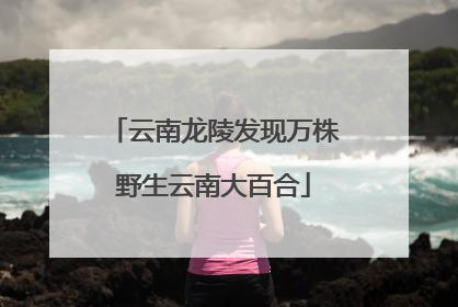 云南龙陵发现万株野生云南大百合