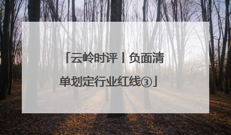 云岭时评丨负面清单划定行业红线③