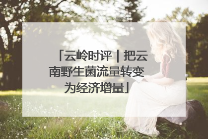 云岭时评｜把云南野生菌流量转变为经济增量