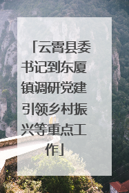 云霄县委书记到东厦镇调研党建引领乡村振兴等重点工作