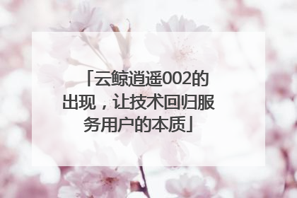 云鲸逍遥002的出现，让技术回归服务用户的本质