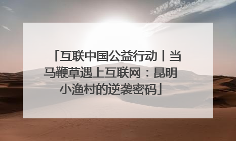 互联中国公益行动丨当马鞭草遇上互联网：昆明小渔村的逆袭密码