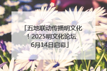 五地联动传播明文化！2025明文化论坛6月14日启幕