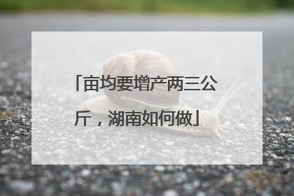亩均要增产两三公斤,湖南如何做