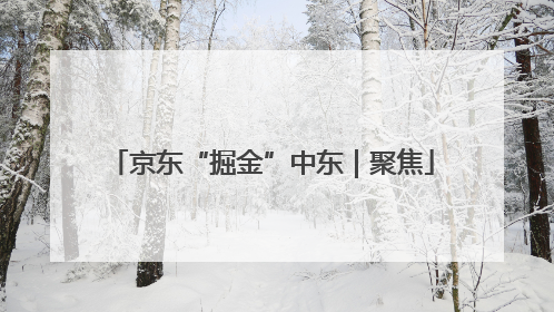 京东“掘金”中东｜聚焦