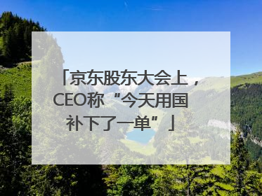 京东股东大会上，CEO称“今天用国补下了一单”