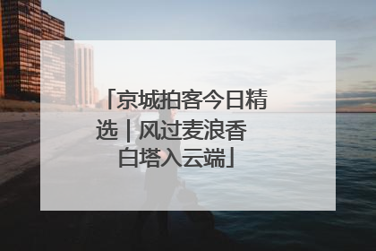 京城拍客今日精选｜风过麦浪香 白塔入云端
