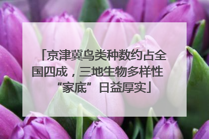 京津冀鸟类种数约占全国四成，三地生物多样性“家底”日益厚实