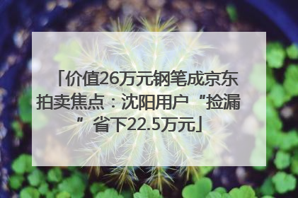 价值26万元钢笔成京东拍卖焦点：沈阳用户“捡漏”省下22.5万元