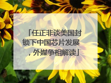 任正非谈美国封锁下中国芯片发展，外媒争相解读