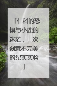 仁科的恐惧与小鹿的迷茫，一次刻意不完美的纪实实验
