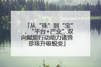 从“珠”到“宝”，“平台+产业”双向赋能行动助力诸暨珍珠升级蜕变