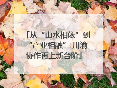 从“山水相依”到“产业相融” 川渝协作再上新台阶