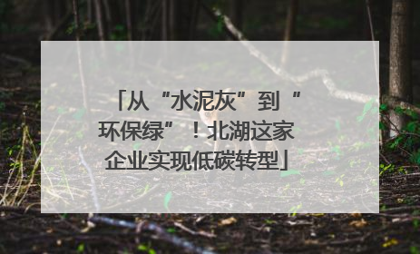 从“水泥灰”到“环保绿”！北湖这家企业实现低碳转型
