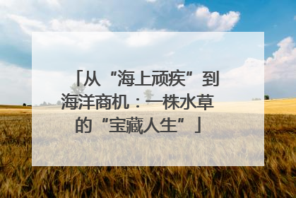 从“海上顽疾”到海洋商机：一株水草的“宝藏人生”
