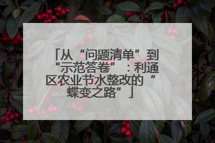 从“问题清单”到“示范答卷”：利通区农业节水整改的“蝶变之路”