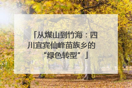 从煤山到竹海：四川宜宾仙峰苗族乡的“绿色转型”