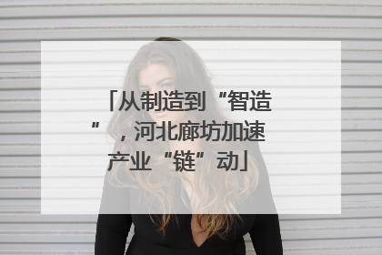 从制造到“智造”，河北廊坊加速产业“链”动