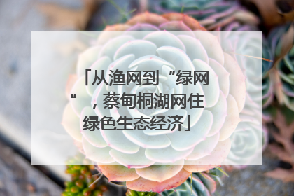 从渔网到“绿网”，蔡甸桐湖网住绿色生态经济