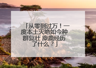 从零到过万！一度本土灭绝如今种群复壮 麋鹿经历了什么？