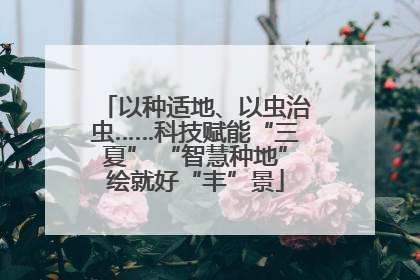 以种适地、以虫治虫……科技赋能“三夏” “智慧种地”绘就好“丰”景