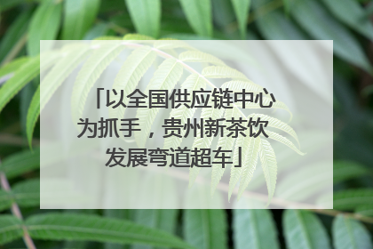以全国供应链中心为抓手，贵州新茶饮发展弯道超车