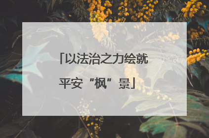 以法治之力绘就平安“枫”景