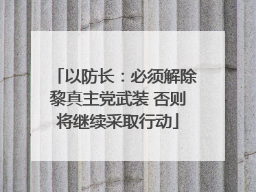 以防长：必须解除黎真主党武装 否则将继续采取行动