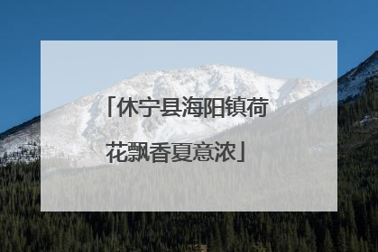 休宁县海阳镇荷花飘香夏意浓