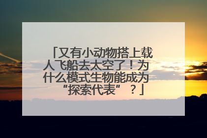 又有小动物搭上载人飞船去太空了！为什么模式生物能成为“探索代表”？