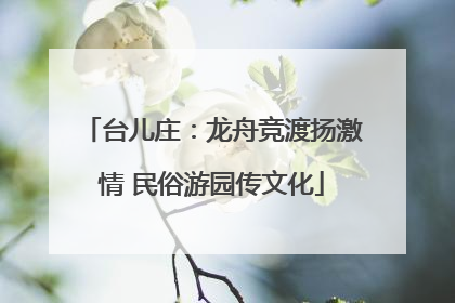 台儿庄：龙舟竞渡扬激情 民俗游园传文化