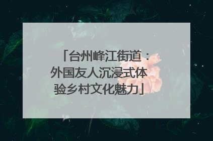 台州峰江街道：外国友人沉浸式体验乡村文化魅力