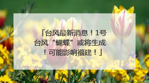 台风最新消息！1号台风“蝴蝶”或将生成！可能影响福建！