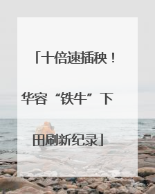 十倍速插秧！华容“铁牛”下田刷新纪录