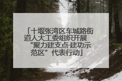 十堰张湾区车城路街道人大工委组织开展 “聚力建支点·建功示范区”代表行动