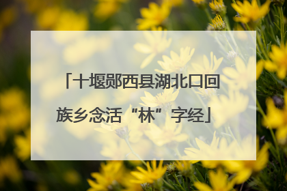 十堰郧西县湖北口回族乡念活“林”字经