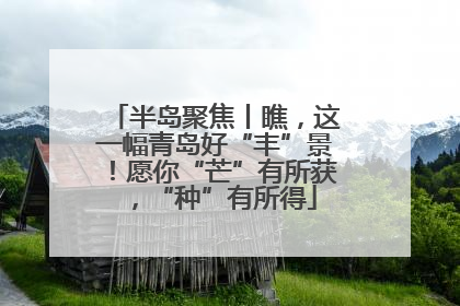 半岛聚焦丨瞧，这一幅青岛好“丰”景！愿你“芒”有所获，“种”有所得