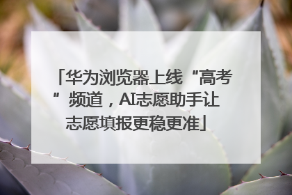 华为浏览器上线“高考”频道，AI志愿助手让志愿填报更稳更准