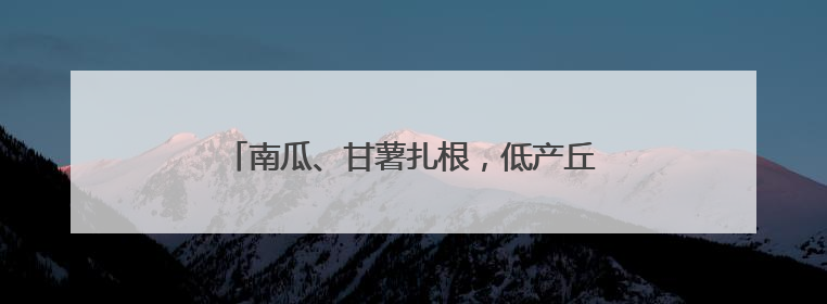 南瓜、甘薯扎根，低产丘陵地变身致富“聚宝盆”