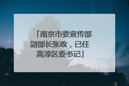 南京市委宣传部副部长张政，已任高淳区委书记