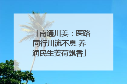 南通川姜：医路同行川流不息 养润民生姜荷飘香