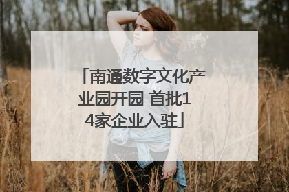 南通数字文化产业园开园 首批14家企业入驻