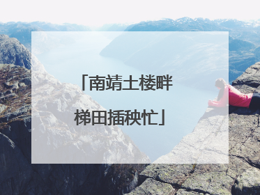 南靖土楼畔 梯田插秧忙