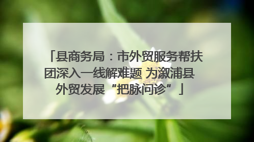 县商务局：市外贸服务帮扶团深入一线解难题 为溆浦县外贸发展“把脉问诊”