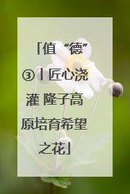 值“德”③丨匠心浇灌 隆子高原培育希望之花
