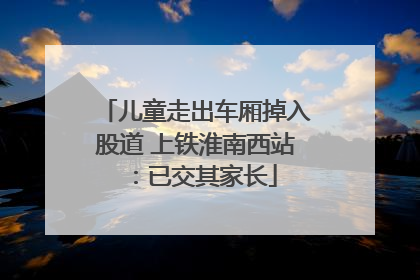 儿童走出车厢掉入股道 上铁淮南西站：已交其家长