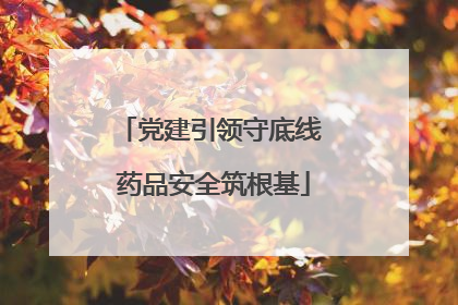 党建引领守底线 药品安全筑根基