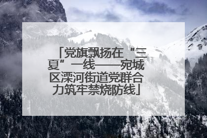 党旗飘扬在“三夏”一线——宛城区溧河街道党群合力筑牢禁烧防线