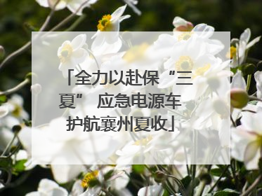 全力以赴保“三夏” 应急电源车护航襄州夏收