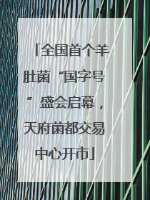全国首个羊肚菌“国字号”盛会启幕，天府菌都交易中心开市